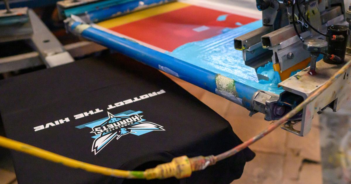 ThePaperMedia's tweet image. When Charlotte Hornets fans arrived for Tuesday evening’s NBA play-in game against the Miami Heat, more than 20,000 special “Protect the Hive” shirts greeted them at their seats.

monkeylink.co/f58c4d 

#CharlotteHornets #ProtectTheHive #LocalBusiness