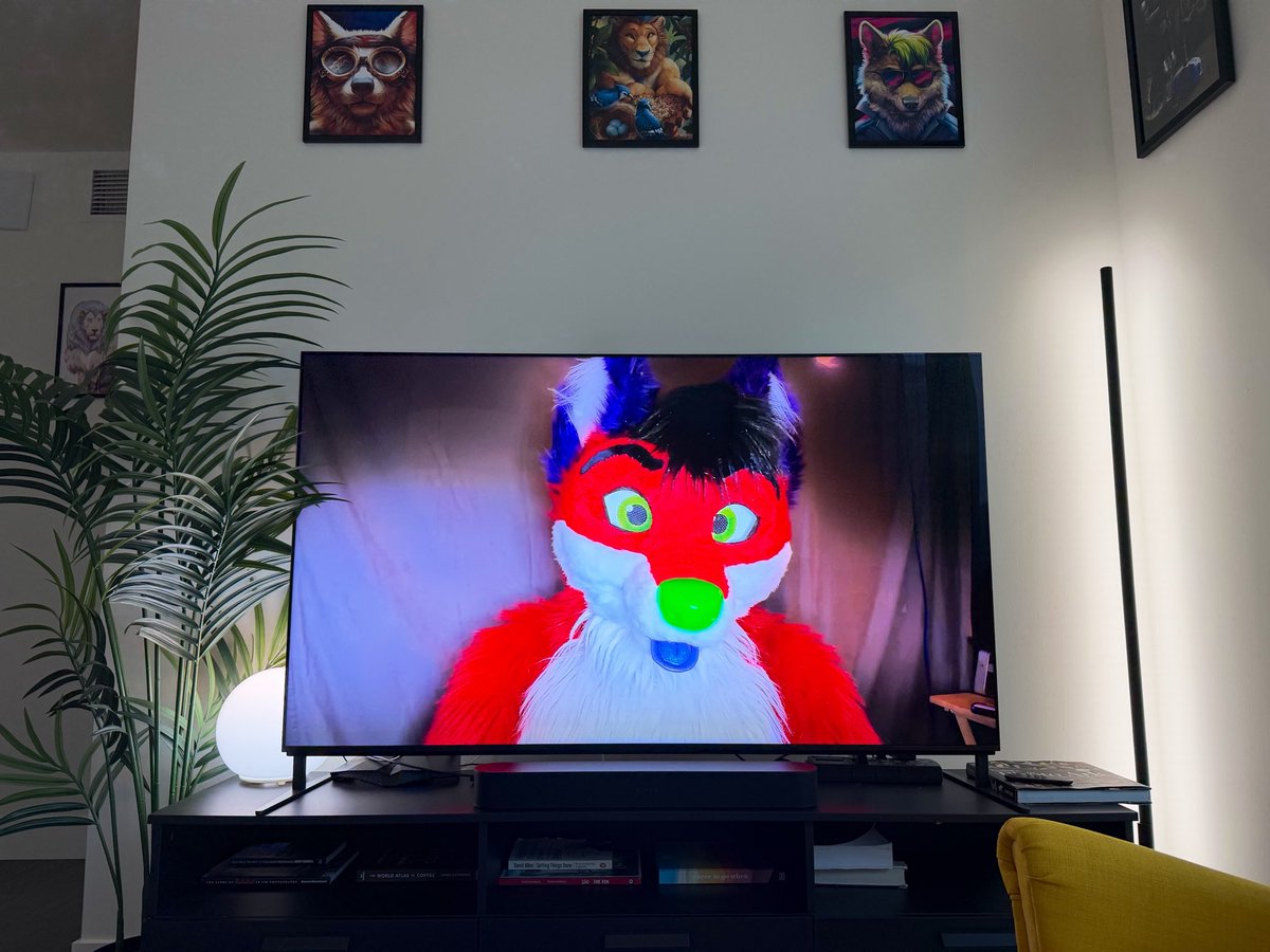 Finn 🔜 FWA tweet media