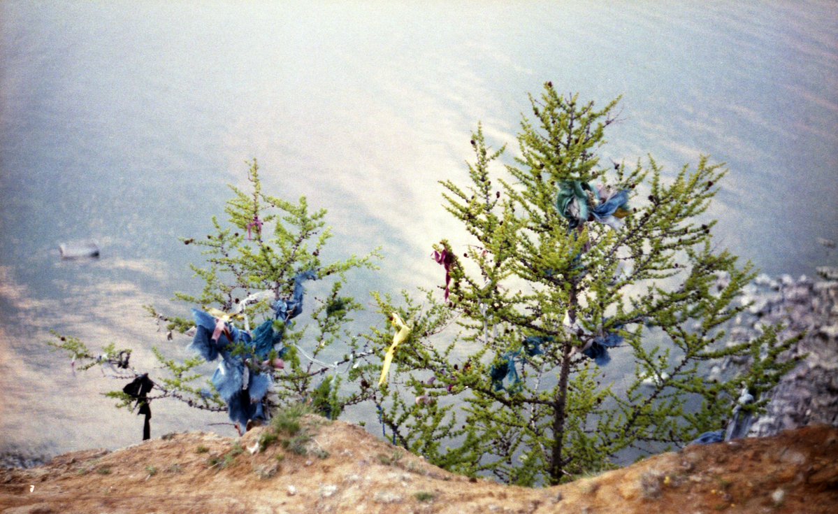 lifezenitfoto's tweet image. Шаманы местных жителей ставят своих идолов. Украшают их, приносят жертвы. Мне интересно фотографировать эти следы верований. Плёна добавляет ощущения открытия, путешествия и неизведанных земель. Очень люблю фотографировать на плёнку.
#filmphoto #idols