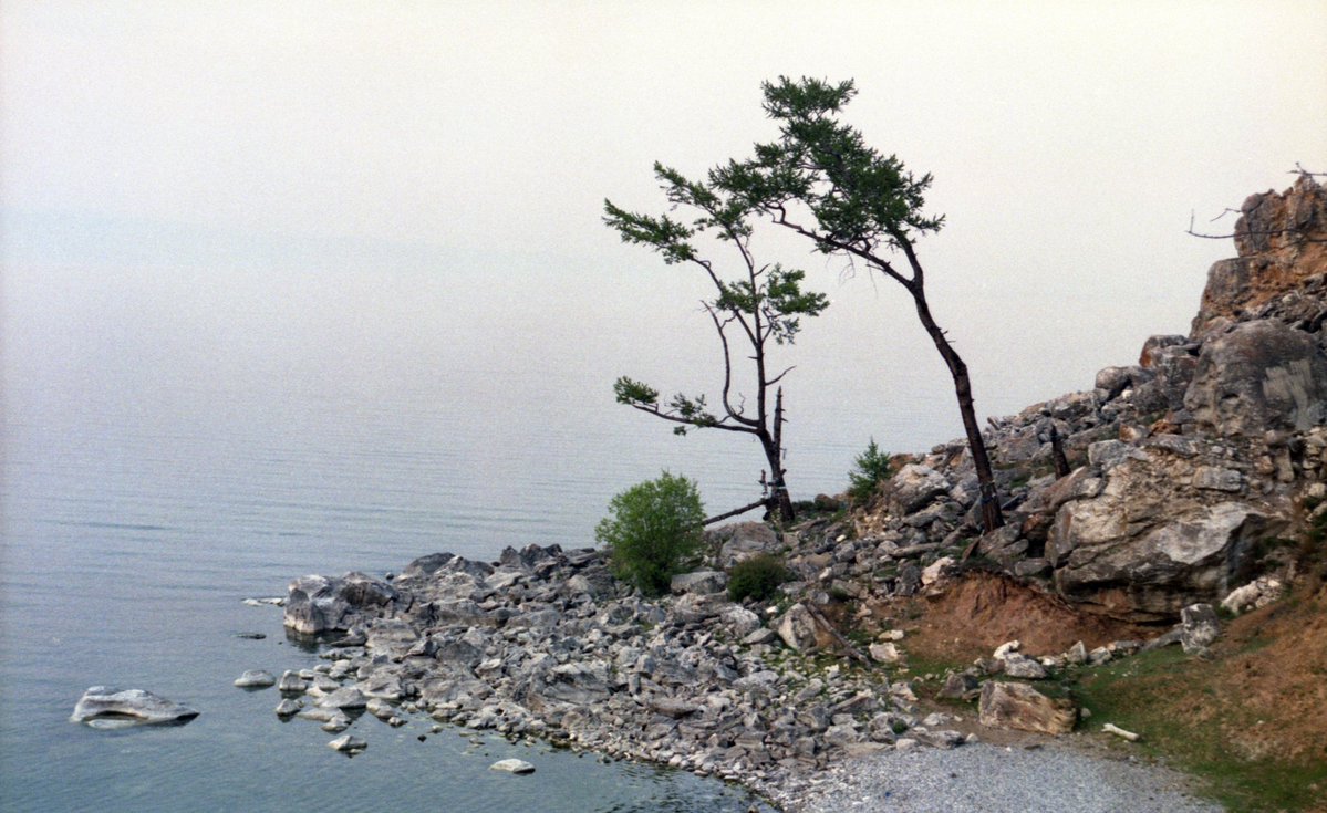 lifezenitfoto's tweet image. Шаманы местных жителей ставят своих идолов. Украшают их, приносят жертвы. Мне интересно фотографировать эти следы верований. Плёна добавляет ощущения открытия, путешествия и неизведанных земель. Очень люблю фотографировать на плёнку.
#filmphoto #idols