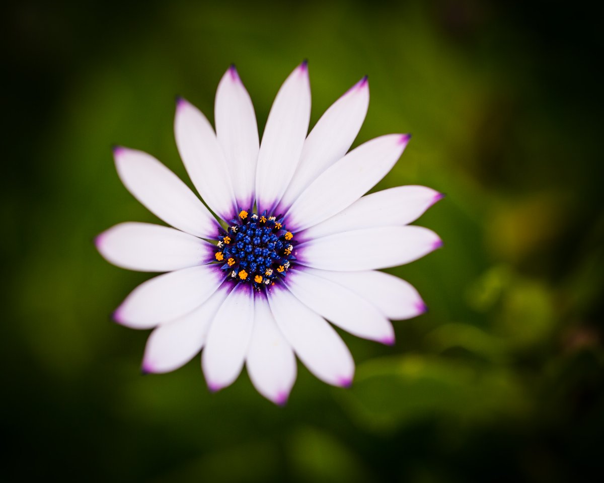 John Getchel tweet media