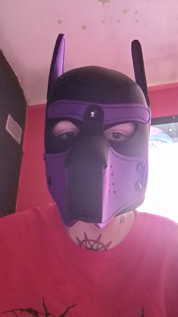 DanWagstaff's tweet photo. Good boys got a new hood 💜🖤 https://t.co/0W1v39KGB9