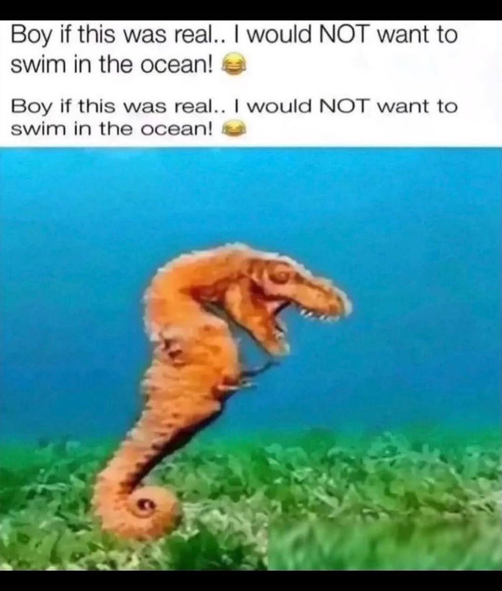 brainrot dimension tweet media