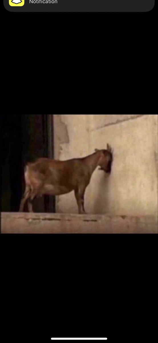 MUFASA🦁📊 tweet media