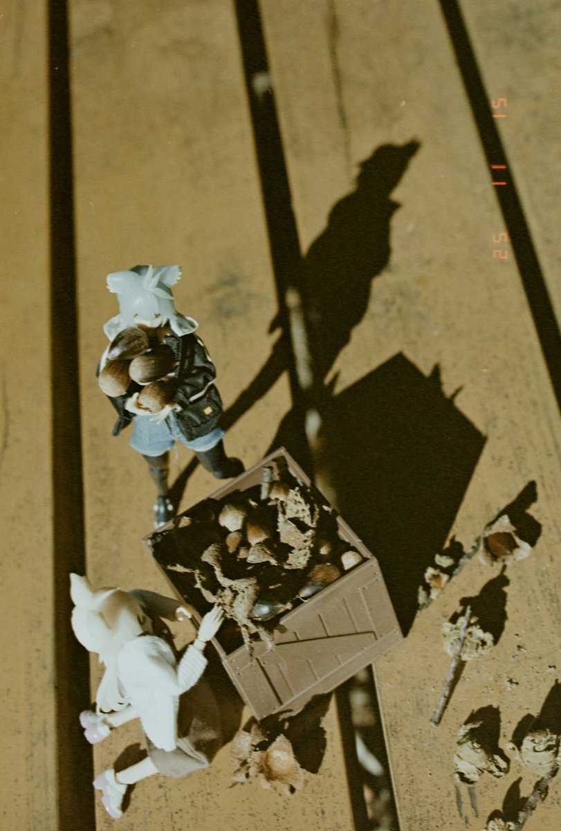 あけびこのは tweet media