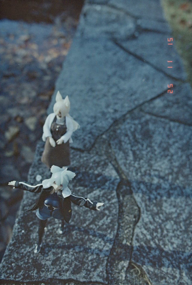 あけびこのは tweet media