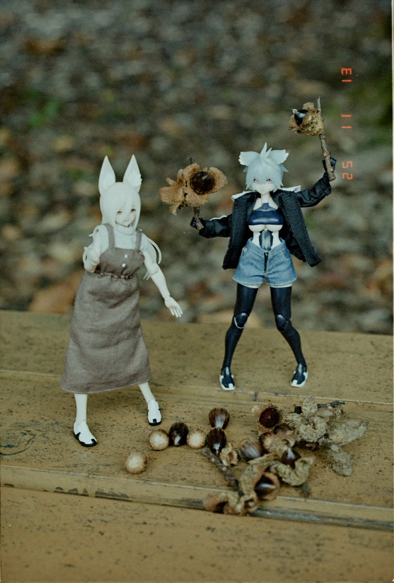 あけびこのは tweet media