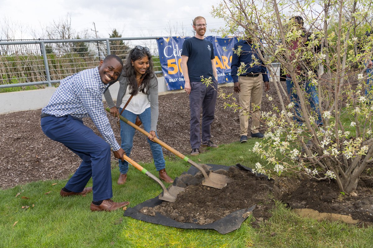 BGCScholarship's tweet photo. Praise the Lord for the spiritual fruit borne over 50 years of the Billy Graham Scholarship Program through over 1200 scholars reaching 135 countries. We celebrated by planting trees on campus to be a lasting memorial. https://t.co/nTvEFZbYb7