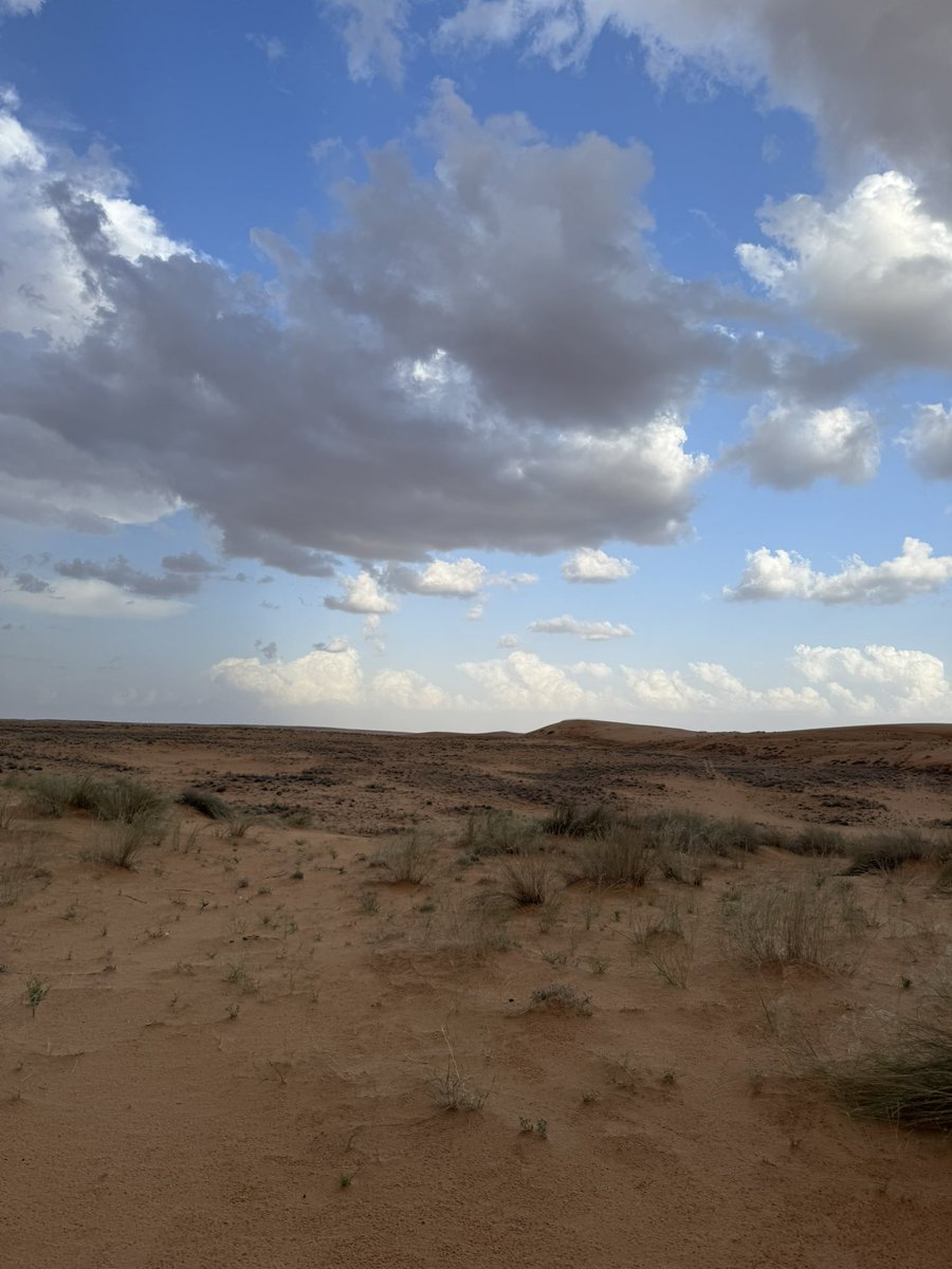 منيفه الشمري tweet media
