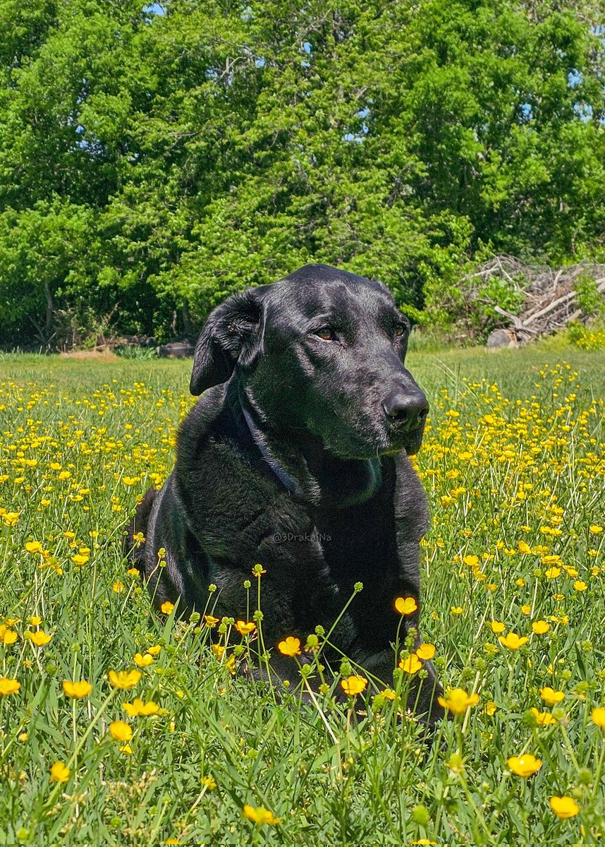 3DrakaiNa 👻 (G.A.N.G) tweet media