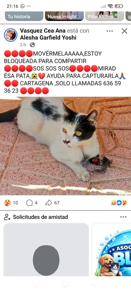 María Viñuela del Jeso tweet media