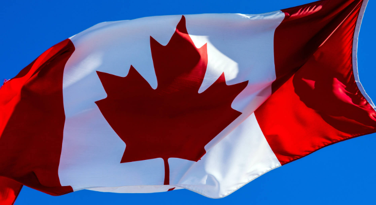 Mike Angelle ⬛⬜⬛⬜⬛⬜ tweet media