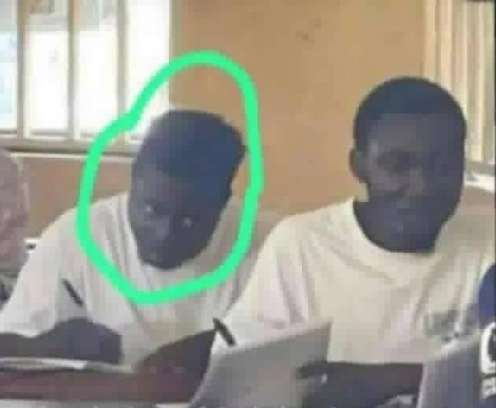 solocutex tweet media