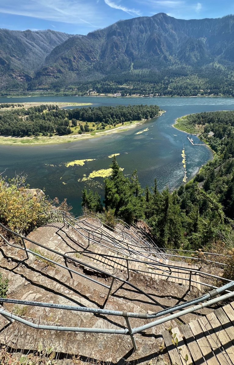 v ｅｅ 🍄 tweet media