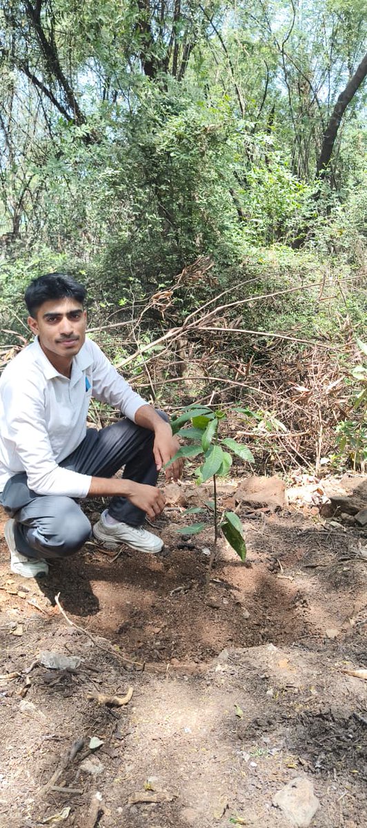 nccjnu's tweet photo. On World Earth Day, 2 Delhi Arty Battery NCC cadets carried out a plantation drive—taking a step towards a greener tomorrow 🌱🌍
Plant today, protect tomorrow. #EarthDay #PlantationDrive #GoGreen #NCC @NCC_Dte_Delhi @HQ_DG_NCC @NishanaGirish @JNU_official_50 @Gajendra_JNU https://t.co/3CmnXNfXPu