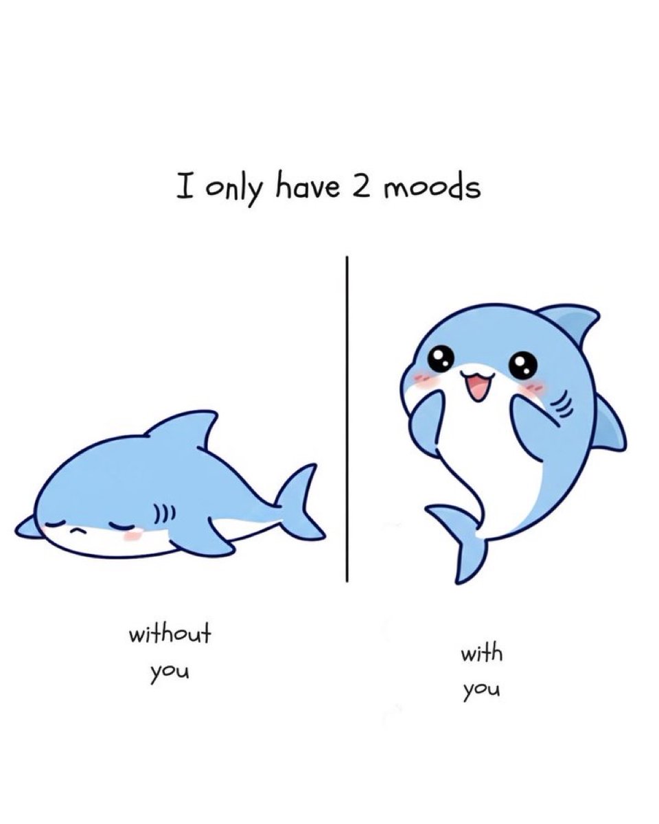 messages. tweet media