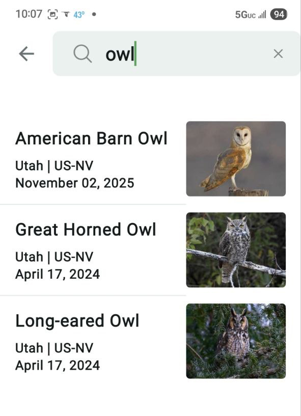 photosbyglenn's tweet image. Rosie on Mt. Rosie last night. She started barking at the trees and I activated my Merlin bird app and it picked up a Long-eared Owl. We've had three owls that have visited us. Mt. Rosie is eight yards of dirt.

#dogs #owls