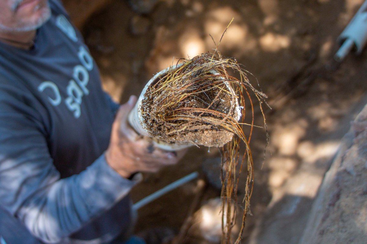 SAPA La Paz tweet media