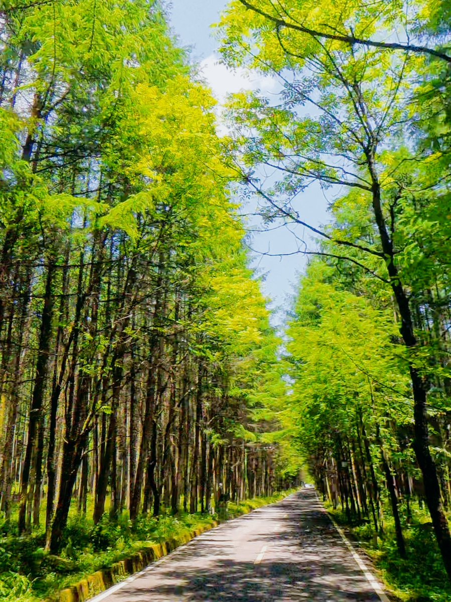 Harvindran tweet media