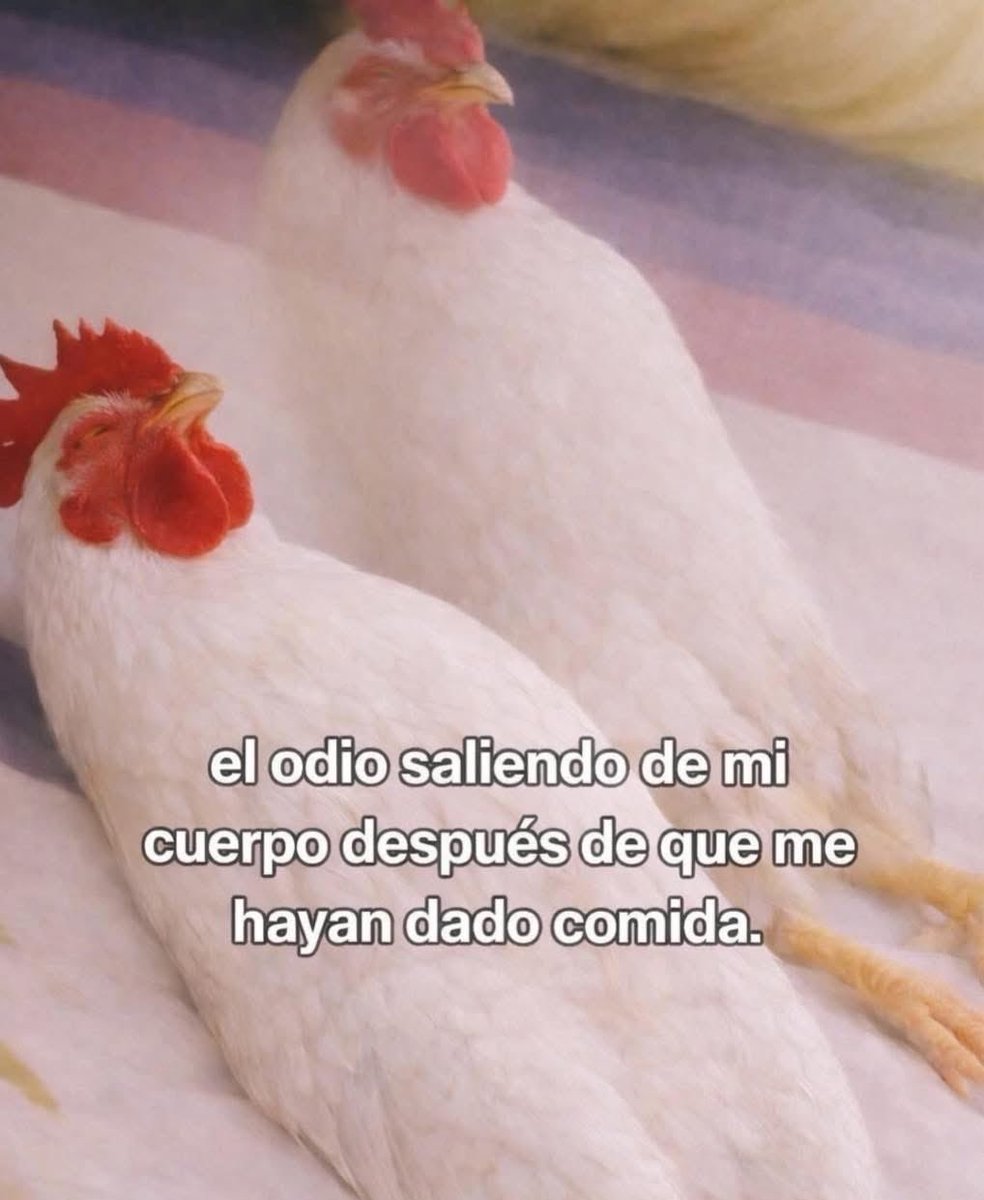 yo qué sé tweet media