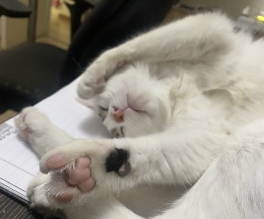 Forouzan tweet media