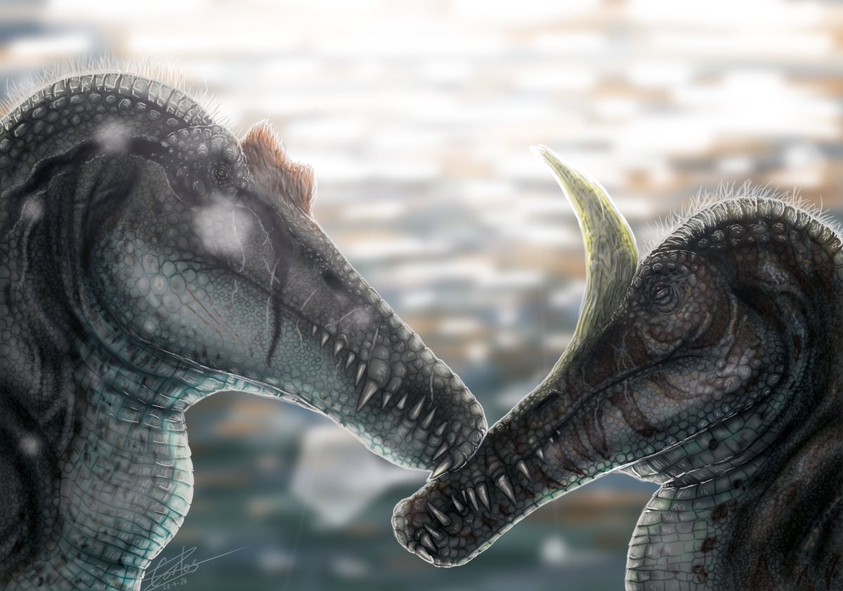 Carlos de Miguel tweet media