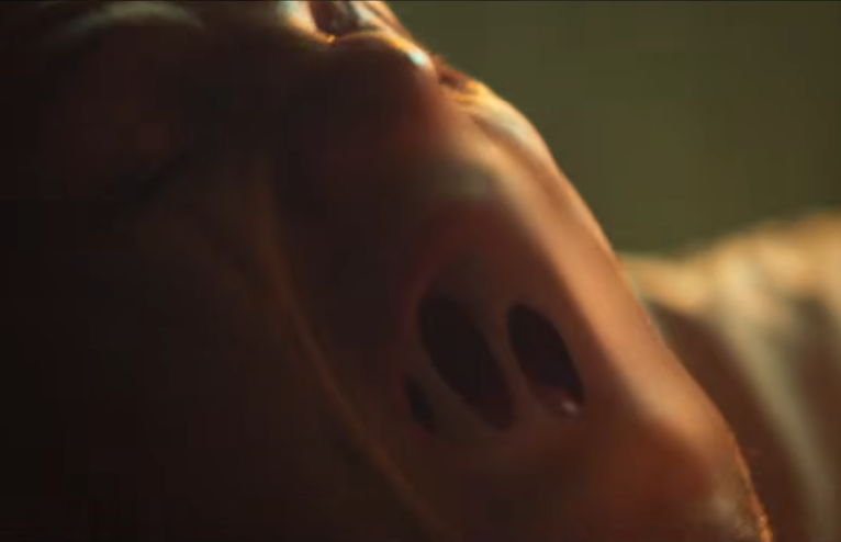 RedKing | 🇦🇷 tweet media