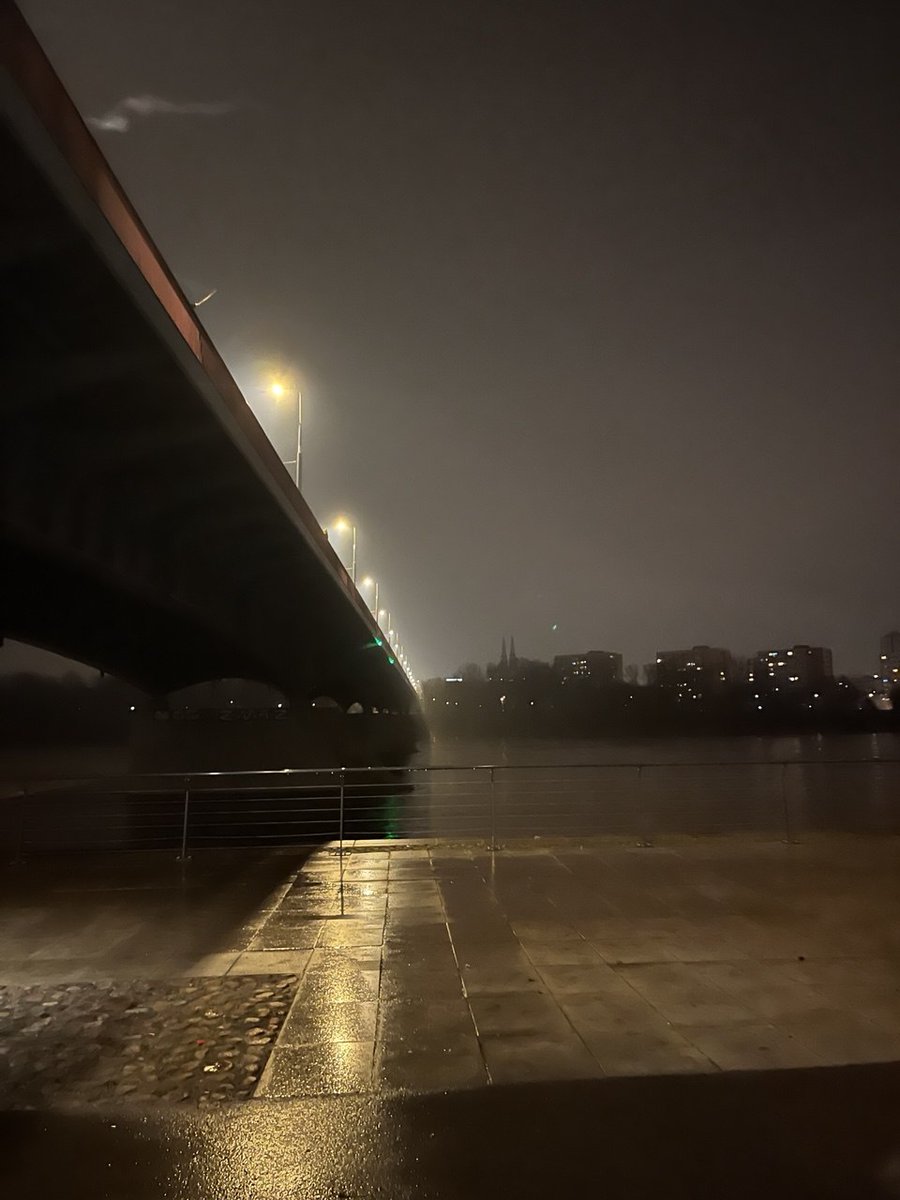 Alenor🦈 tweet media