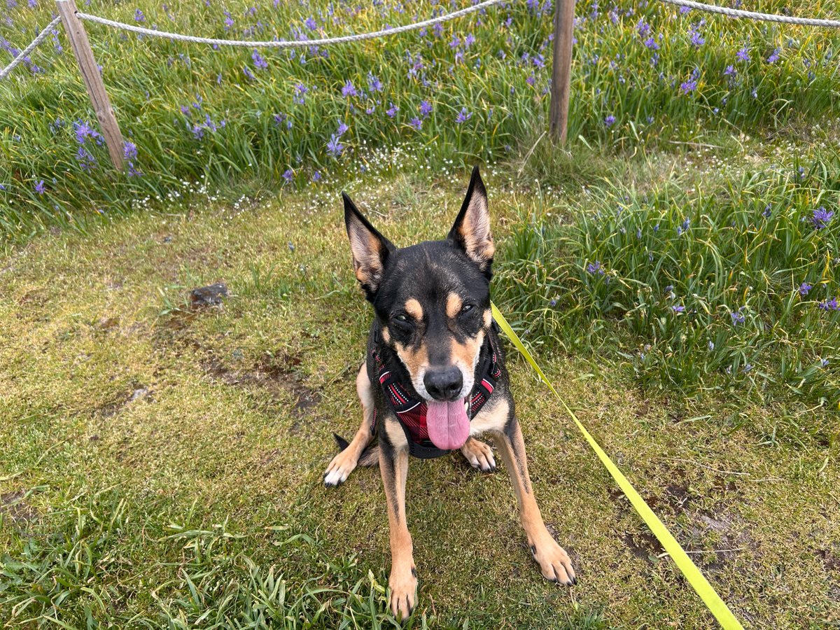 🇨🇦 Women Exist ♀ tweet media