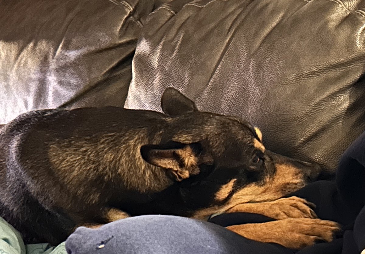 🇨🇦 Women Exist ♀ tweet media