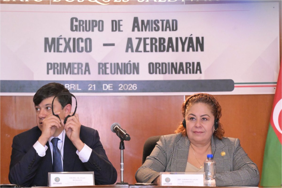 Diputadas y Diputados Federales Morena Veracruz tweet media