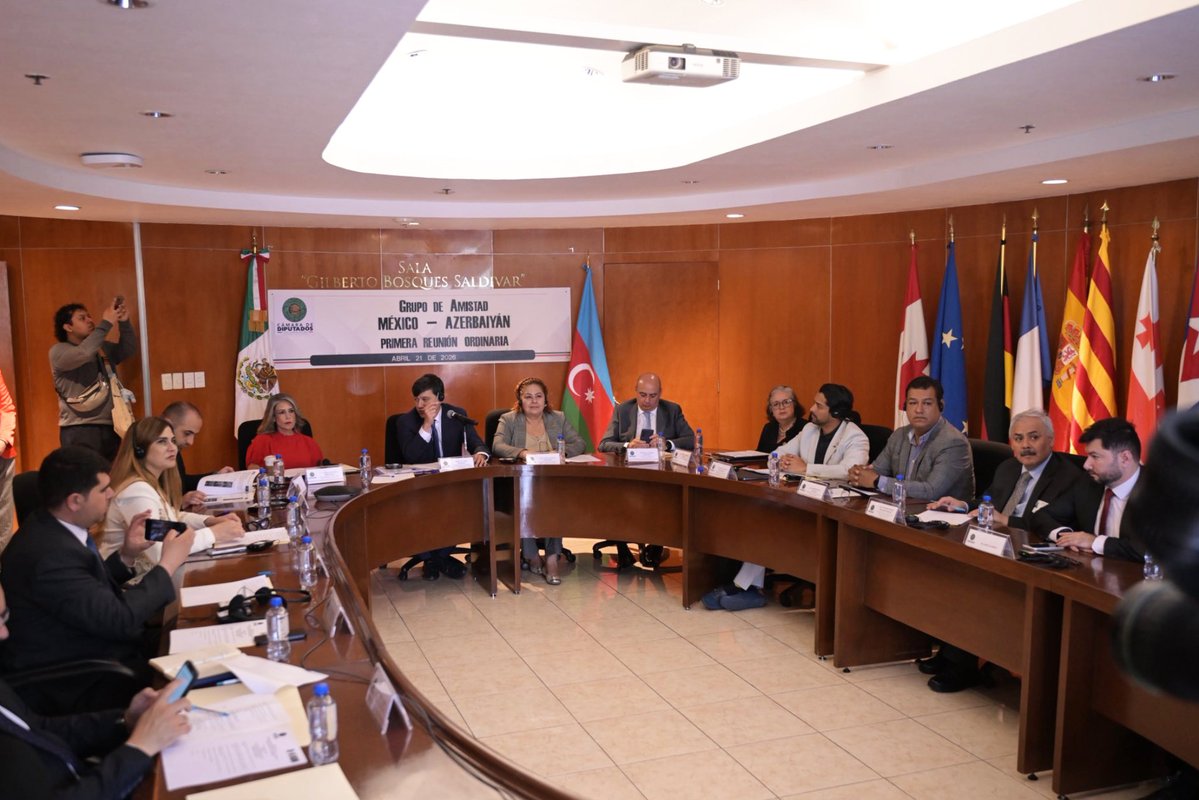 Diputadas y Diputados Federales Morena Veracruz tweet media