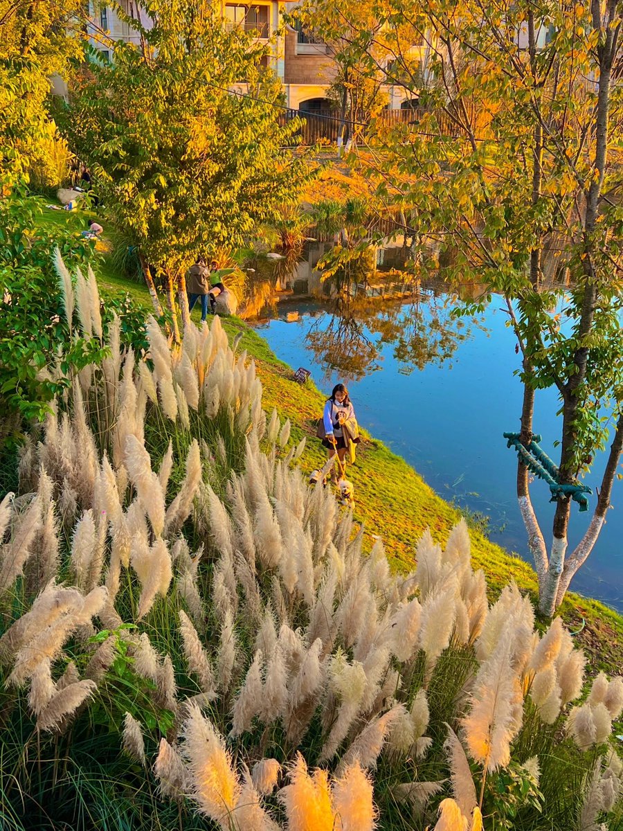 Visionary 70 tweet media