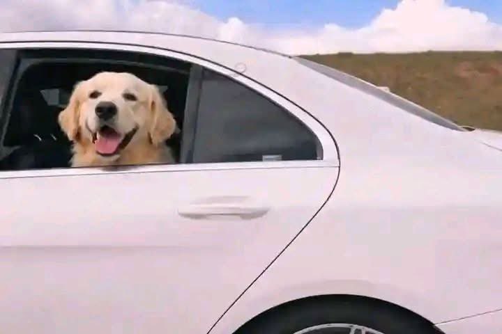 Yolie🌸🌻 tweet media