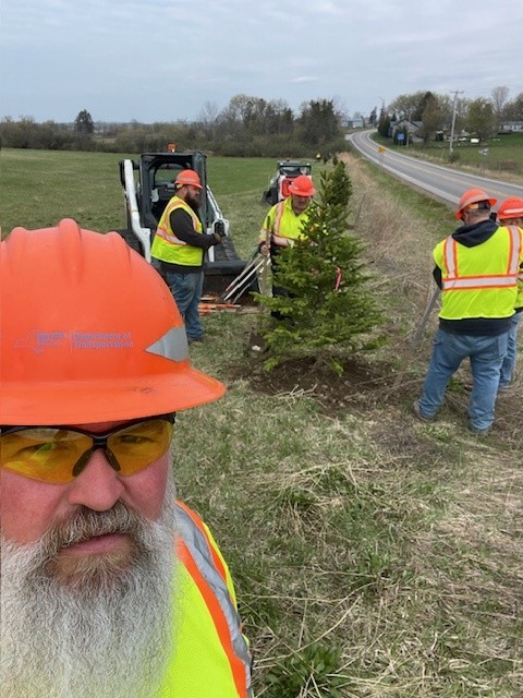Earth Day tree plantings occurred all over the Mohawk Valley Region today.  Here are photos from the Fulton Montgomery Residency, where they planted living snow fence along State Route 10.