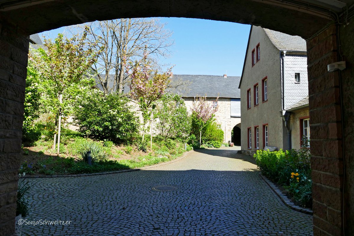 HessenSonja5767's tweet photo. Im Kloster Altenberg bei Solms Oberbiel ...................... #Kirche #KlosterAltenberg #Kloster #Altenberg #Solms #Oberbiel #Geopunkt #Geopark #Lahn #Lahntal #LahnDillKreis #LDK #Mittelhessen #Hessen #Germany https://t.co/e29gNvIZNk