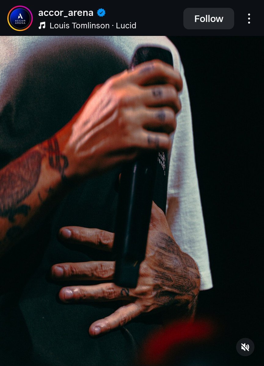 ❱❱❱❱❱ ari's🏠×͜× 💋🪩;𓊍 got louis notices :,) tweet media