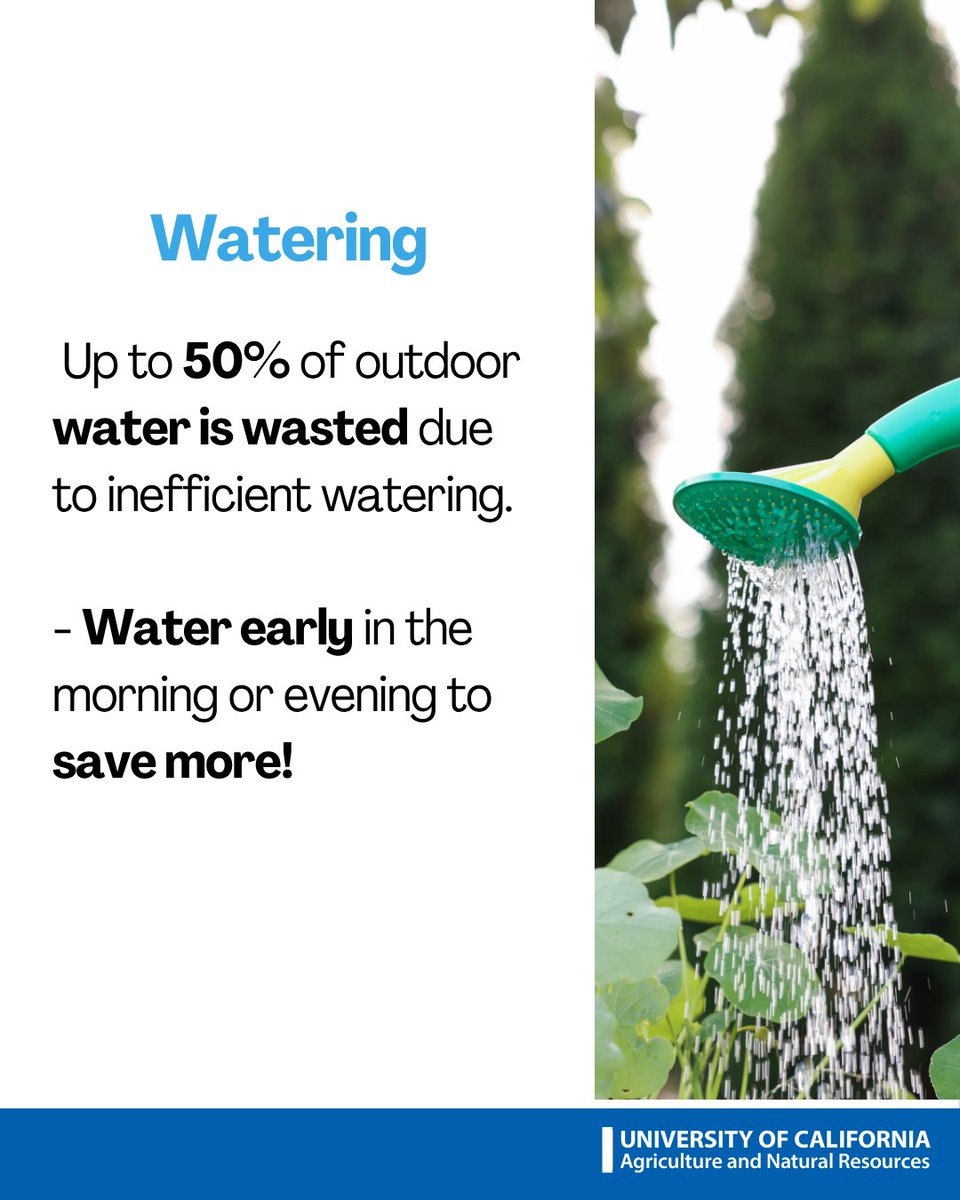 ucanr's tweet image. Happy Earth Day from UC ANR 🌎💚

Small actions add up. Plant something local, save water and support pollinators. Every step makes a difference for our beautiful planet.

#EarthDay #UCANR #SustainableLiving #ClimateAction