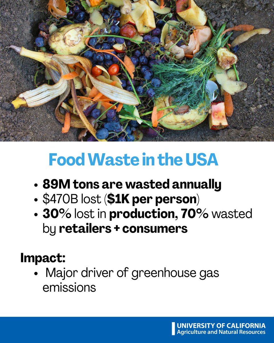 ucanr's tweet image. Happy Earth Day from UC ANR 🌎💚

Small actions add up. Plant something local, save water and support pollinators. Every step makes a difference for our beautiful planet.

#EarthDay #UCANR #SustainableLiving #ClimateAction