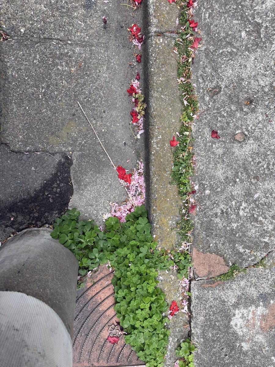 大森靖子🌏💖 tweet media