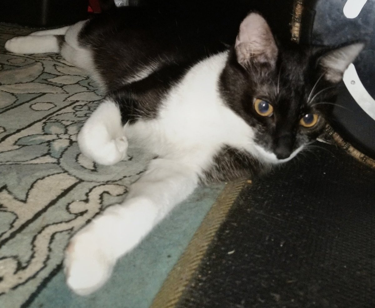 Pain tears tweet media