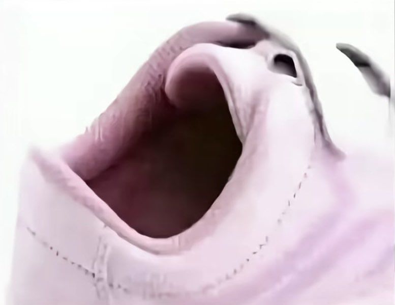 فهلوي tweet media