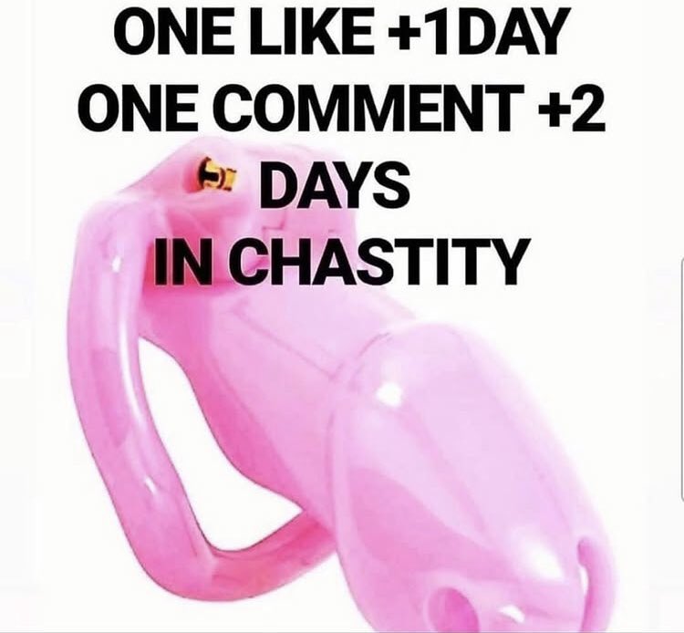Sissy Lizzie 🎀 tweet media