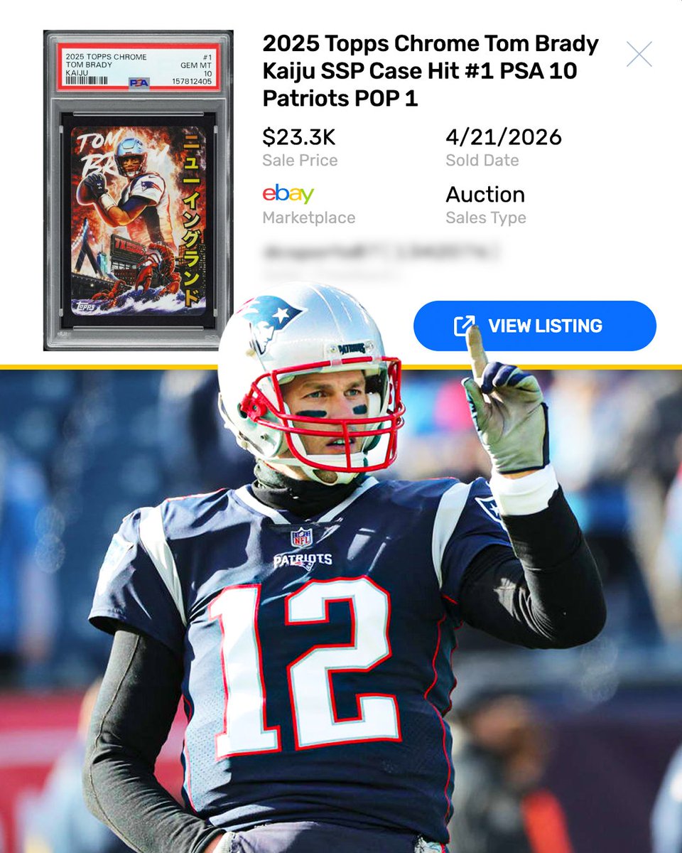 Sports Card Investor tweet media
