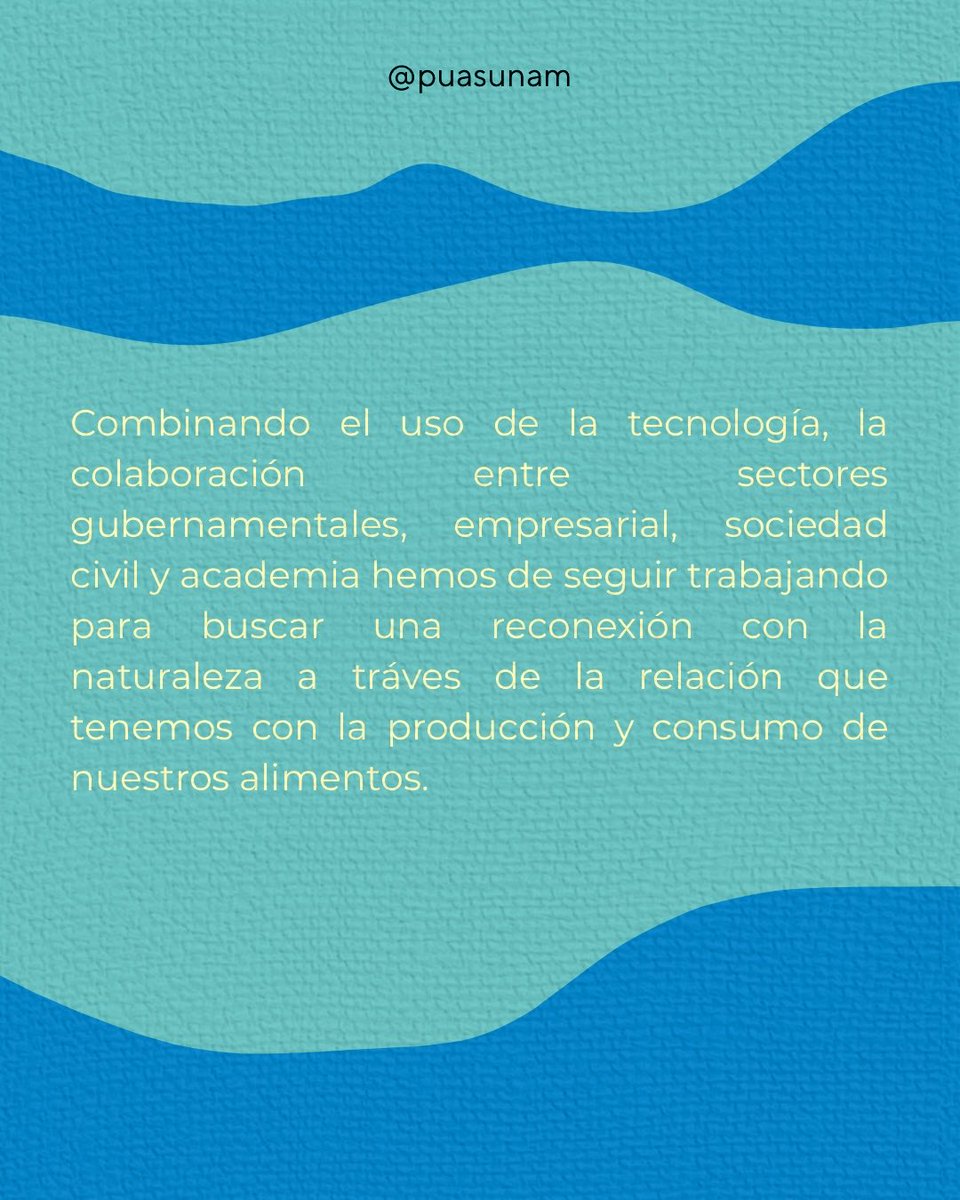 Alimentación Sostenible UNAM tweet media