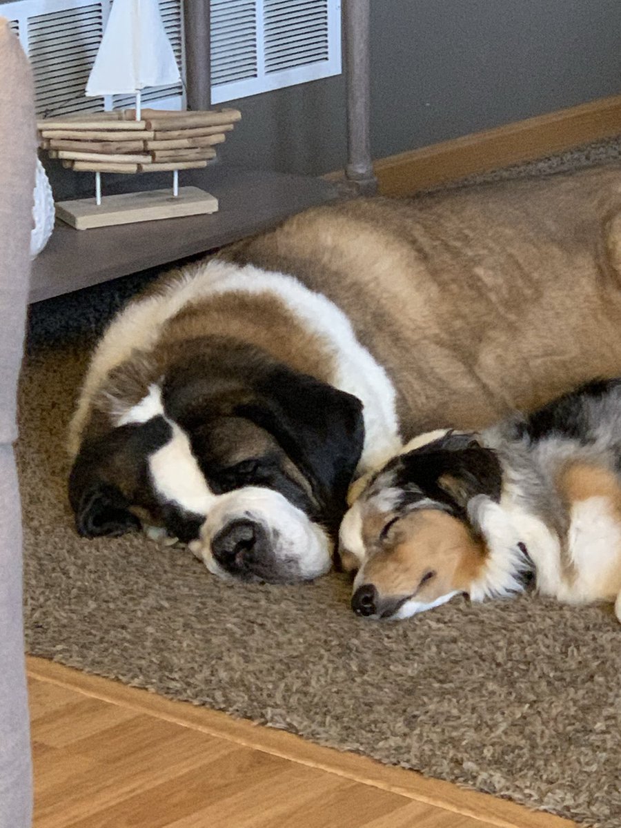 korierin2020's tweet photo. @doqholliday I miss my Maggie 😮‍💨 https://t.co/TunnHrg7i1