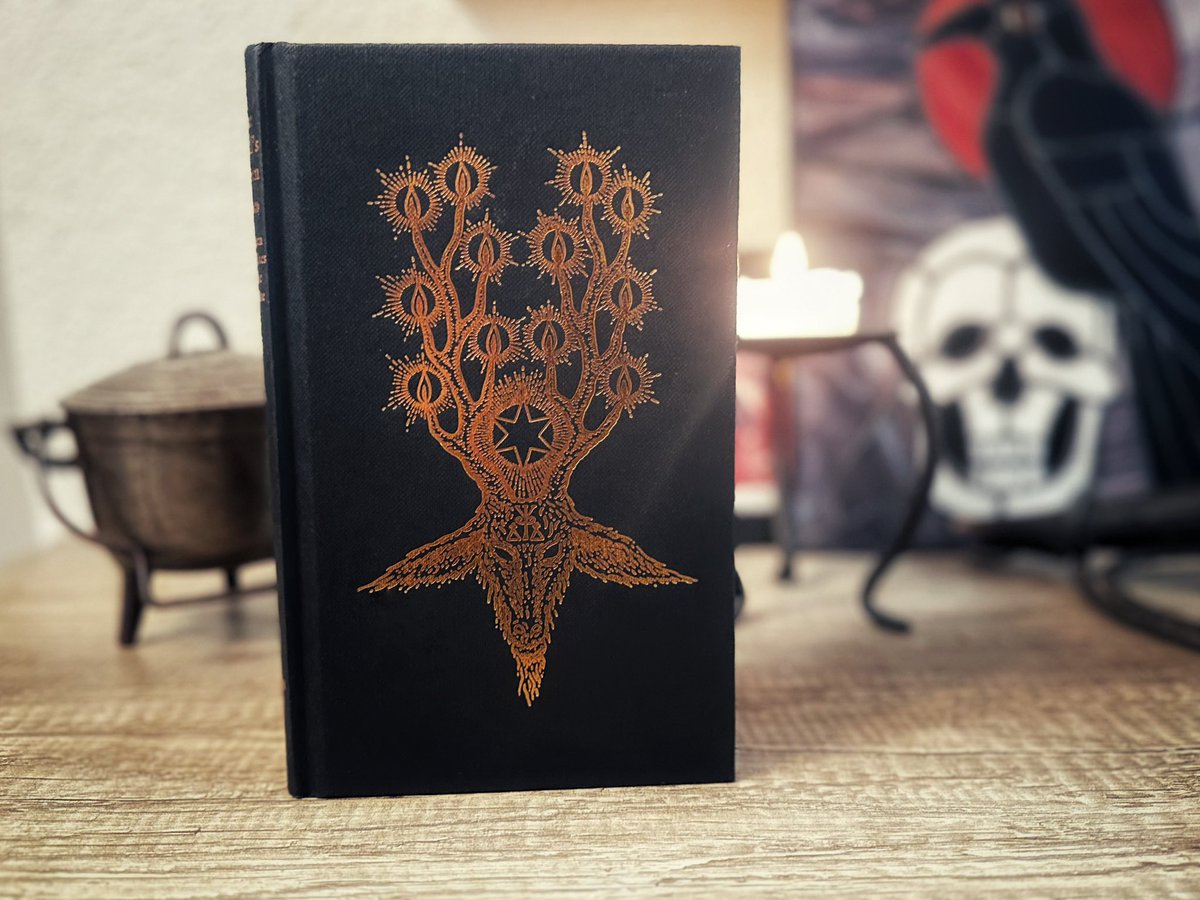 Primer vídeo de una sección nueva de reviews de libros de ocultismo y brujería. Te pasas a verlo? #librosdeocultismo #occultbooks 

youtu.be/xgtovSctaWs?is…