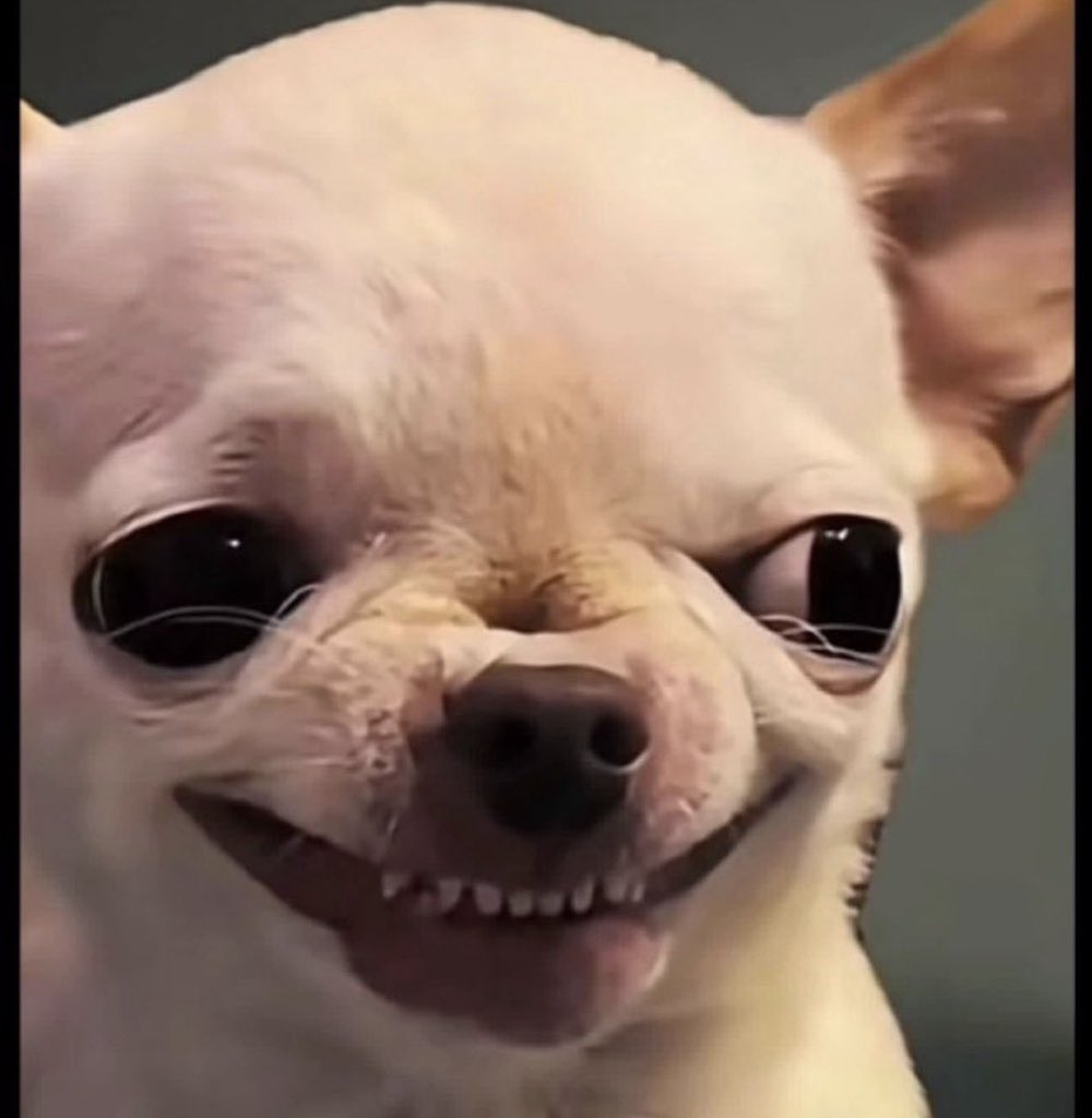 StarFlameIce🌟🔥❄️ tweet media