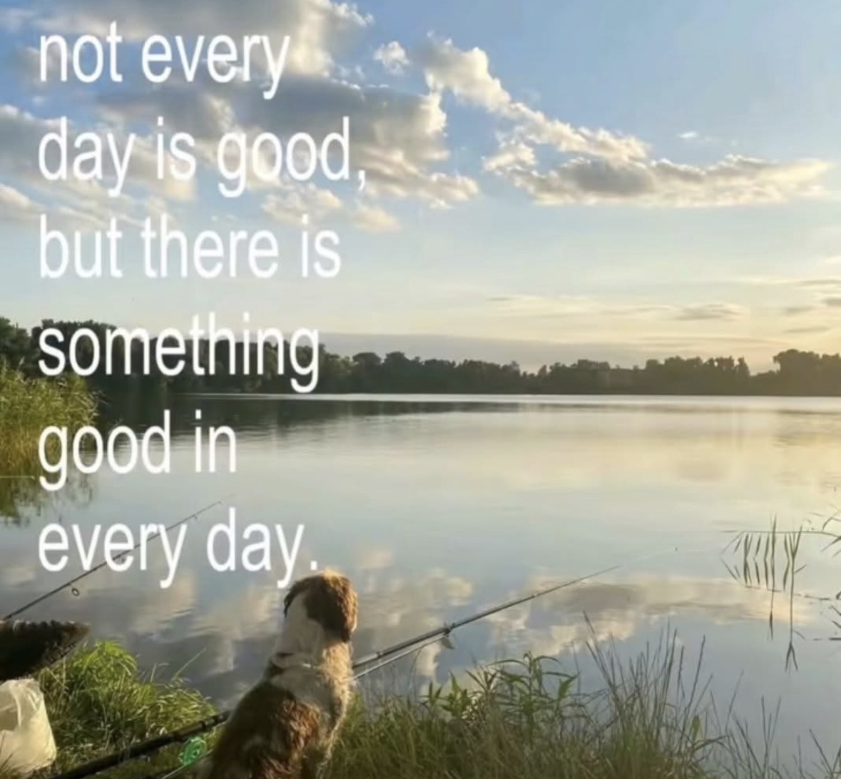 Respectful Memes tweet media