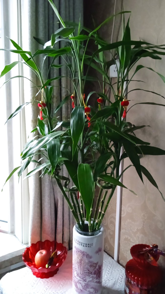 Marseille 13 tweet media